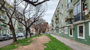 Vivendes Mare Déu Desemparats